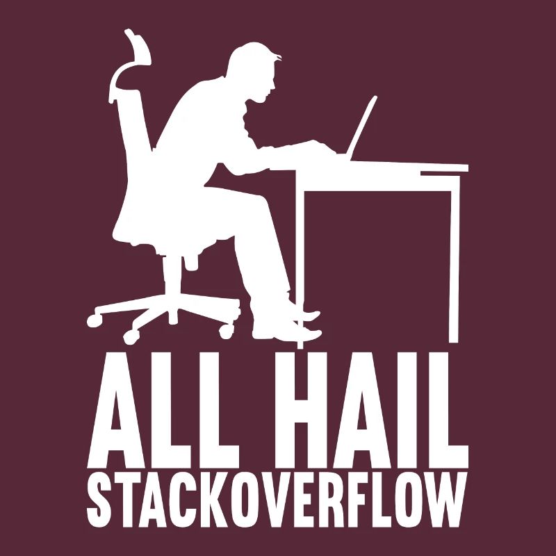 Programmierer Informatiker