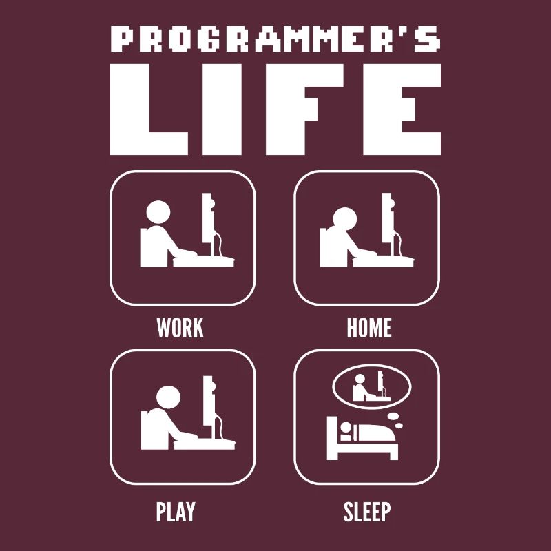 Programmers Life. Work Home Play Sleep Programming