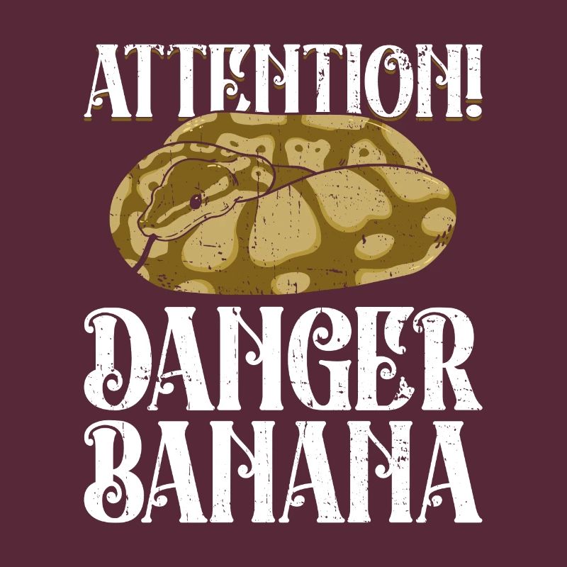 Königspython Banana Königspython Schlange