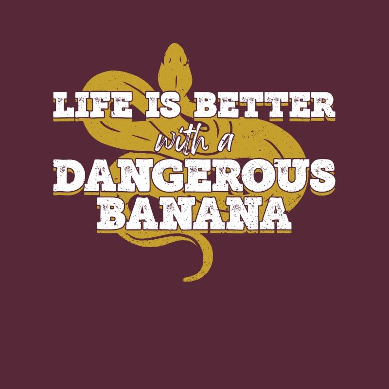 Boule de banane Python Königspython