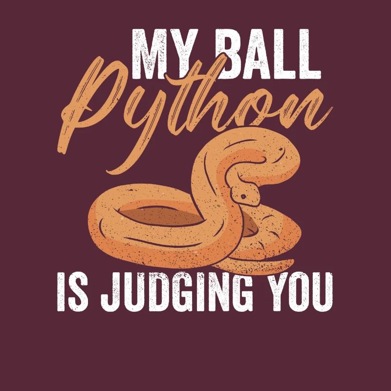 Python Königspython Banana Ball Python