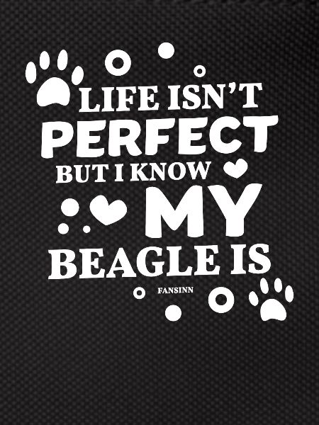 Beagle