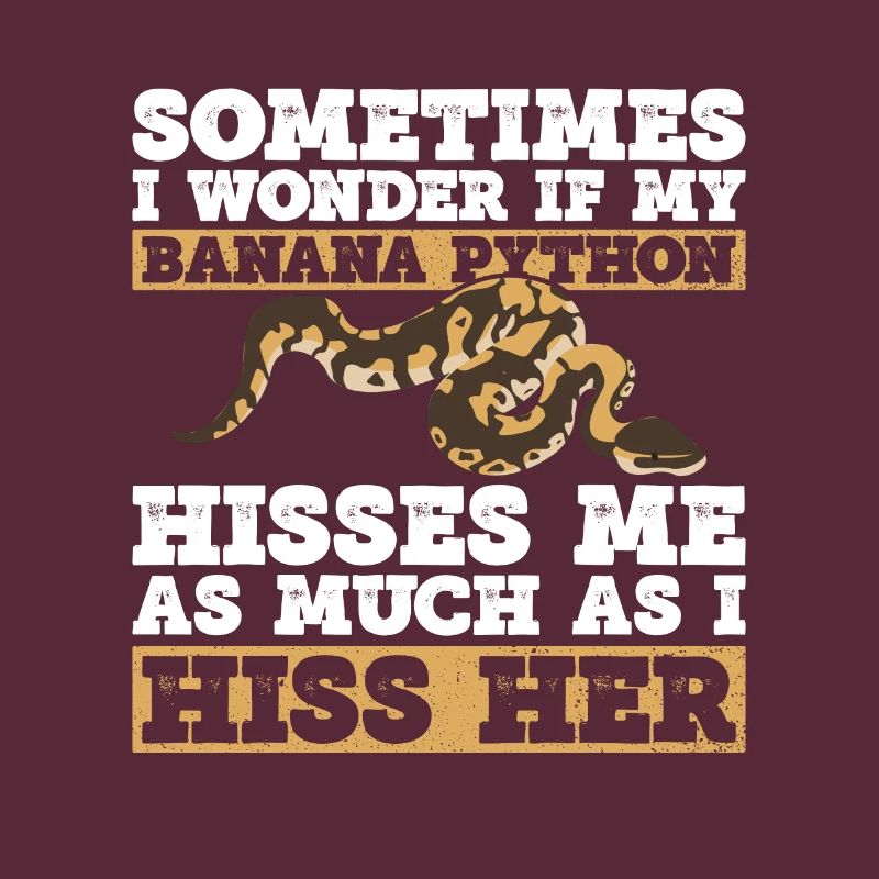 Banana Ball Python Königsphython