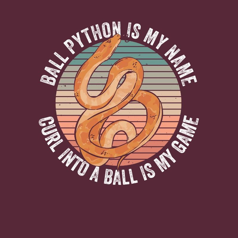 Königspython Boule de banane Python