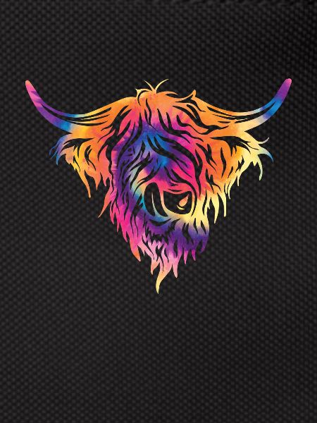 Highland cow