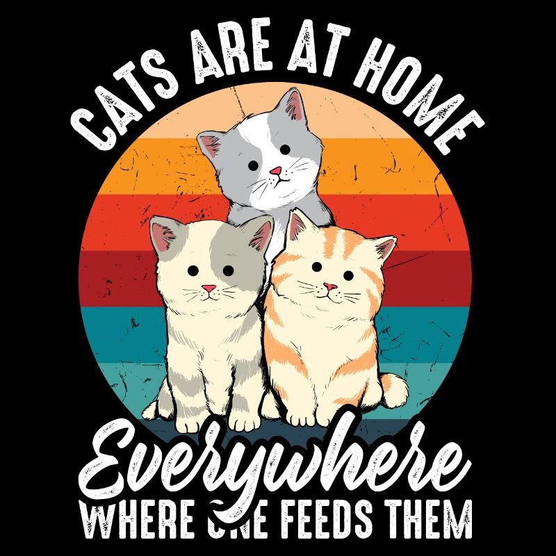 Les chats sont à la maison partout