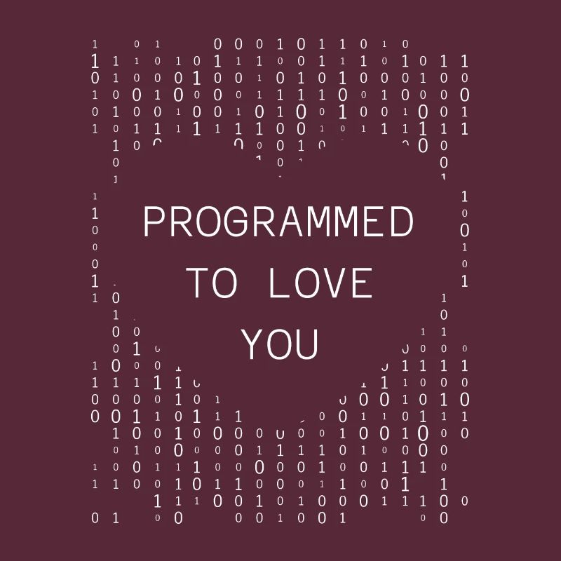 Entwickler Coder Programmierer