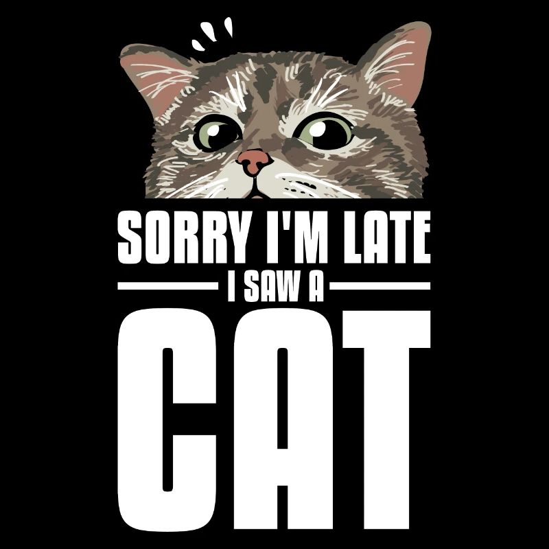 J’ai vu un chat