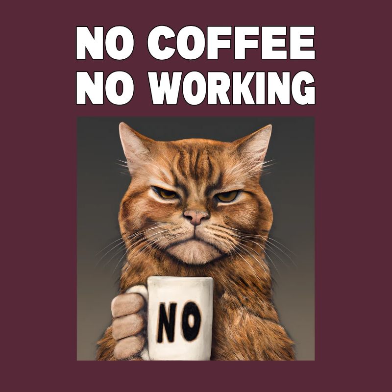 no coffee no working. Grumpy Funny Cat