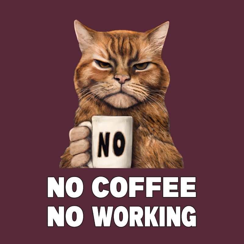 no coffee no working. Grumpy Funny Cat