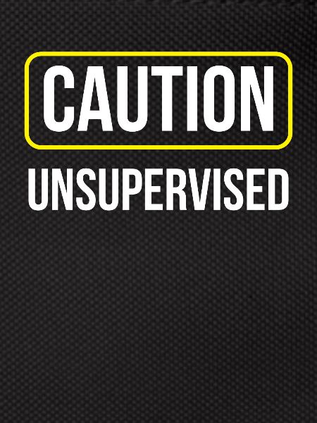 Caution Unattended Unsupervised Sarcastic