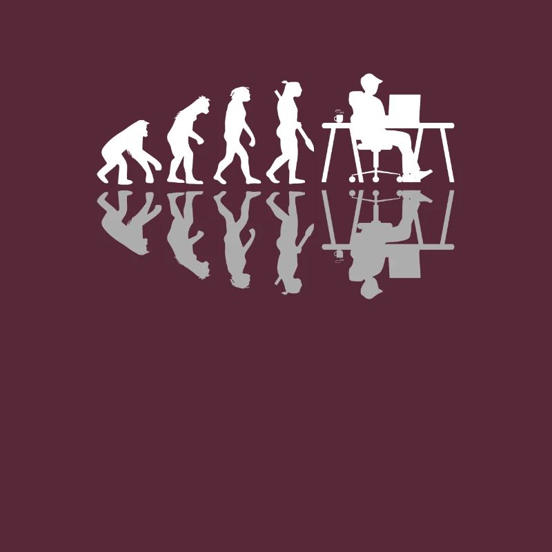 Evolution Funny Programmer Software Developer