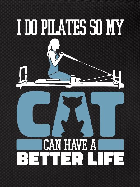 Pilates cat