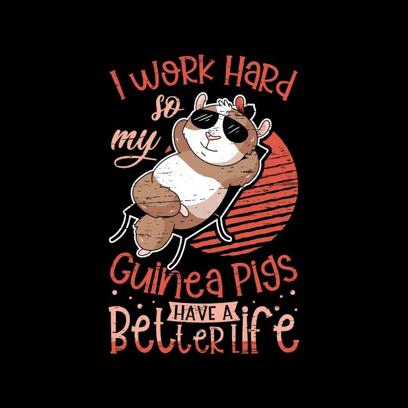 Mes cochons d’Inde ont une vie meilleure