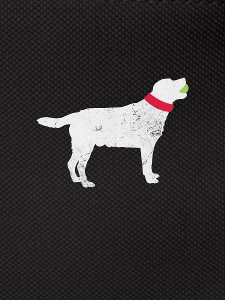Labrador