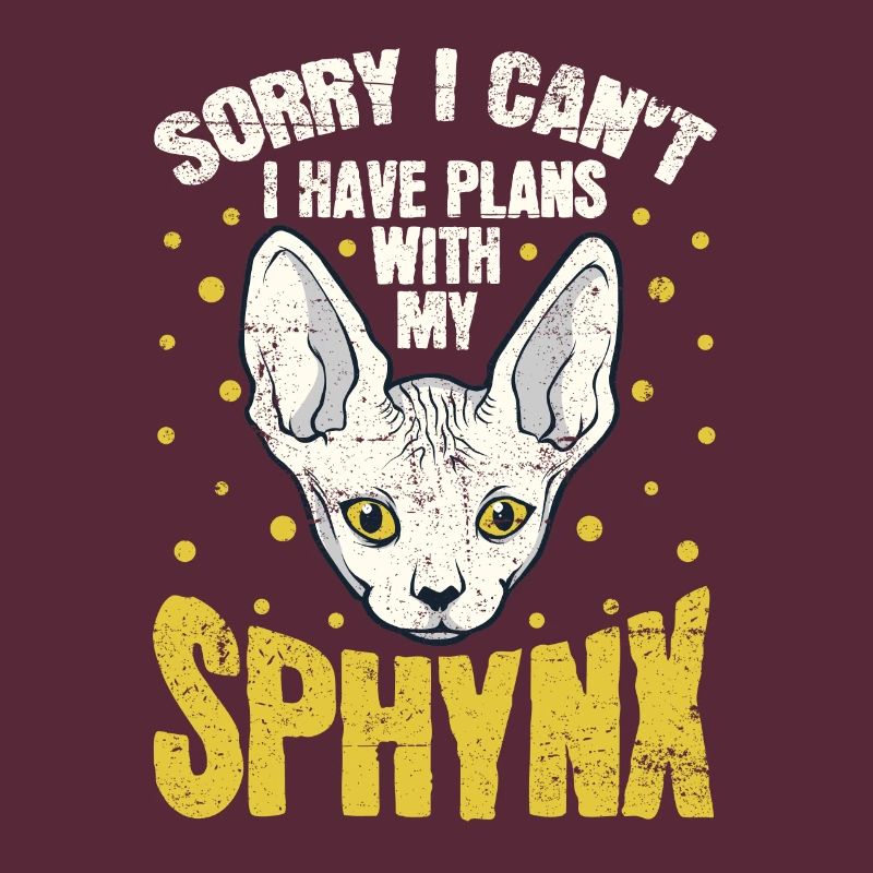I can't plan with Sphynx Kitten Pet Owner