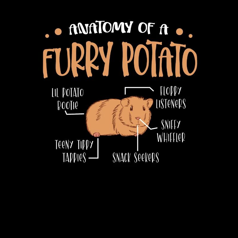 Anatomie d’un cochon d’Inde de pomme de terre à fourrure