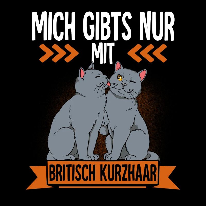 Britisch Kurzhaar Katze