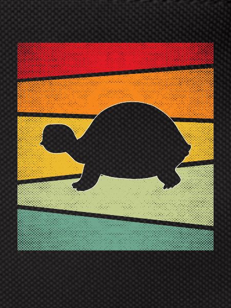Turtle Retro
