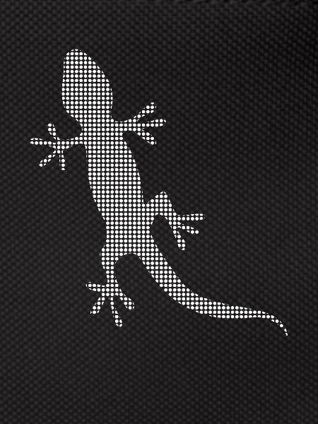Lizard