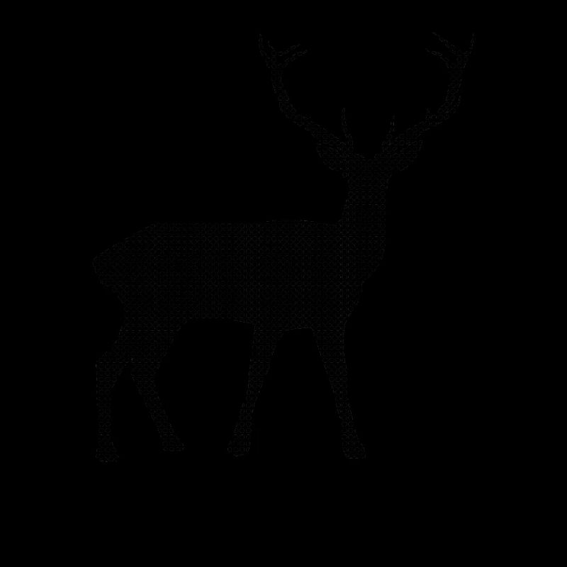 Hirsch
