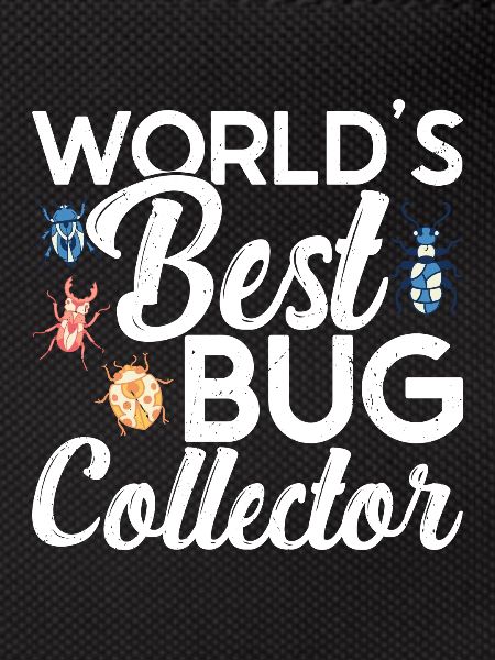 Insecte