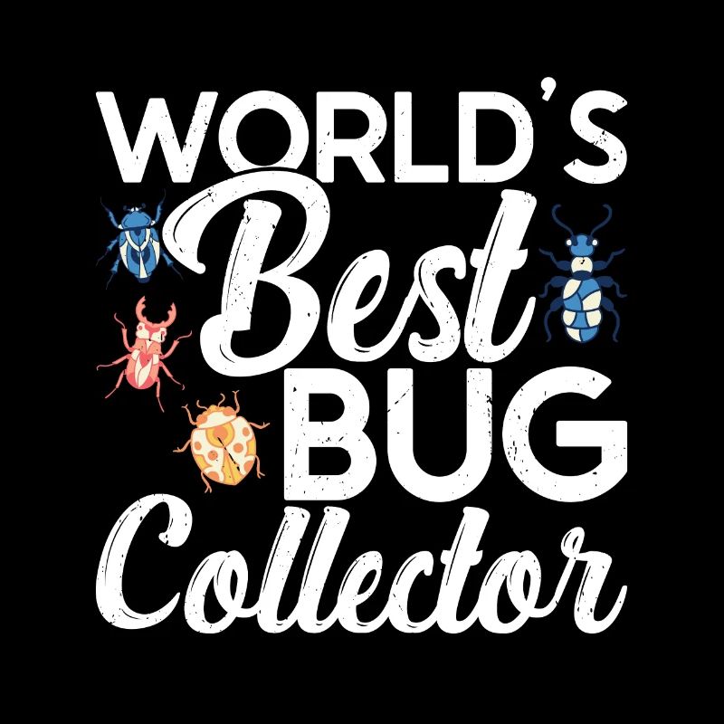 Insecte