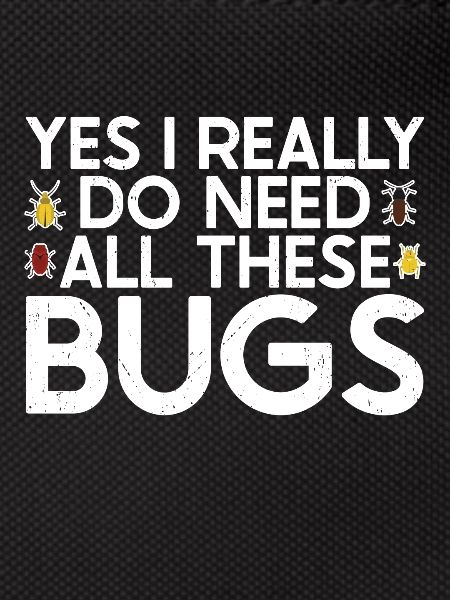 Insecte
