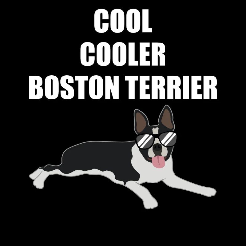 Cooler Boston Terrier Spruch Hund Geschenk