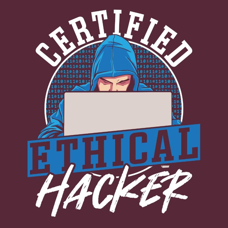 Certified Ethical Hacker Hacking Network Developer