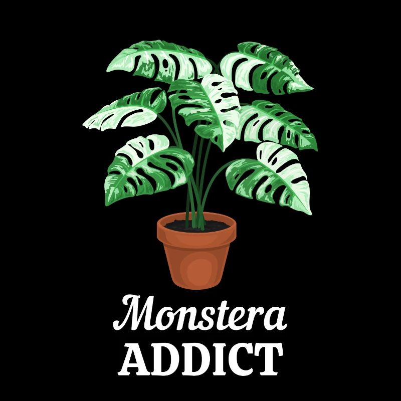 Monstera Addict