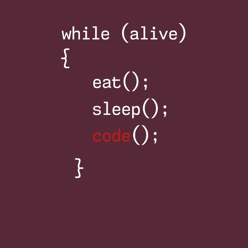 Administrator Coding Geek Programmer