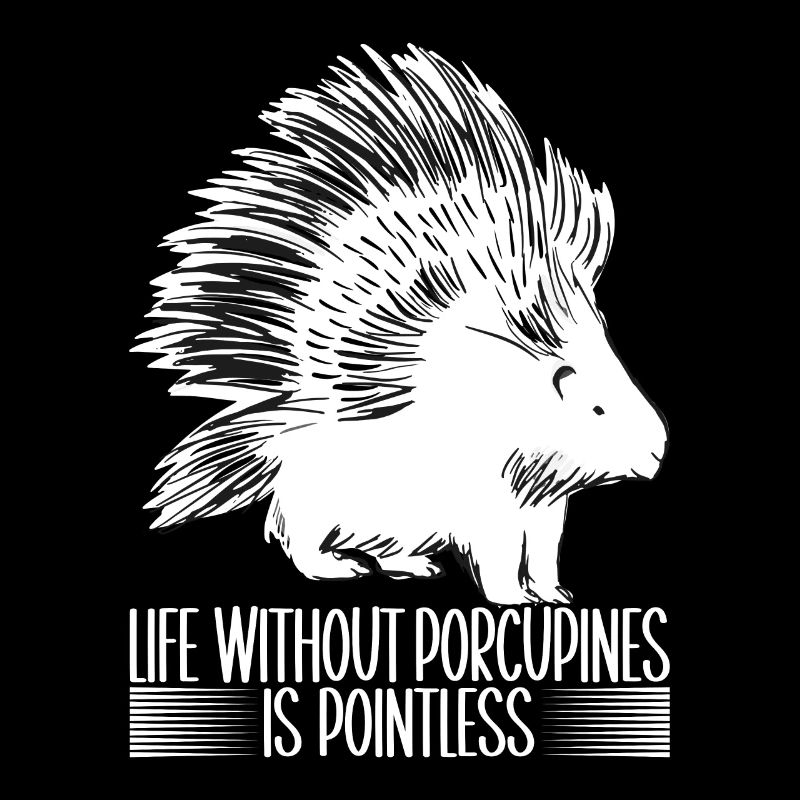 Porc-épic mignon
