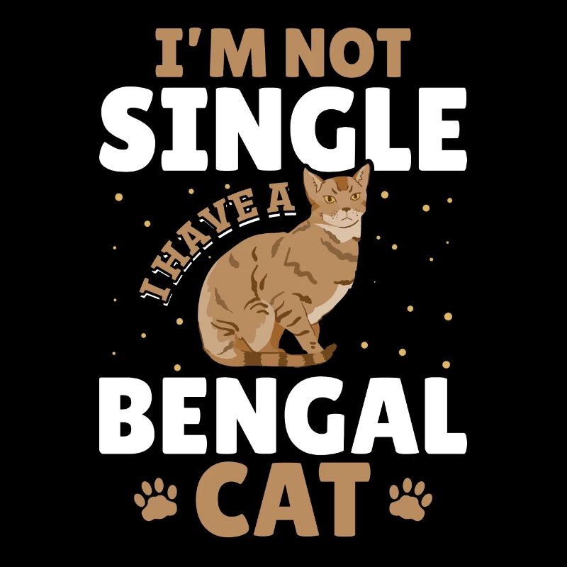 Chat célibataire Bengal Chat célibataire Chat de vie ami