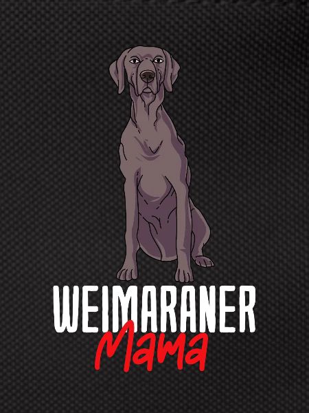 Weimaraner