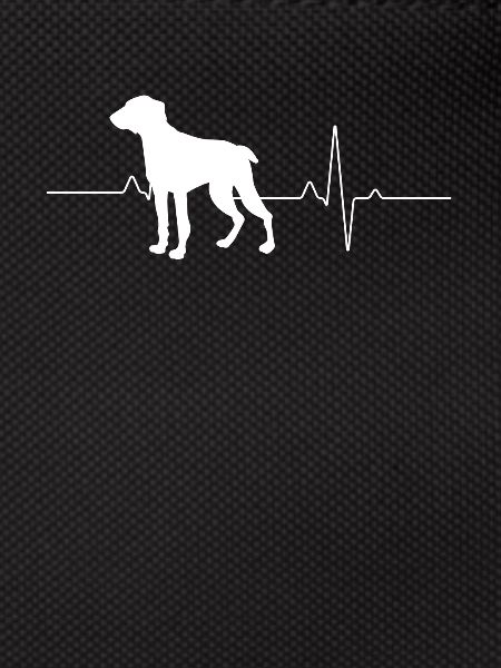 Weimaraner