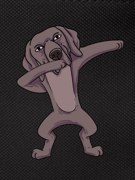 Weimaraner