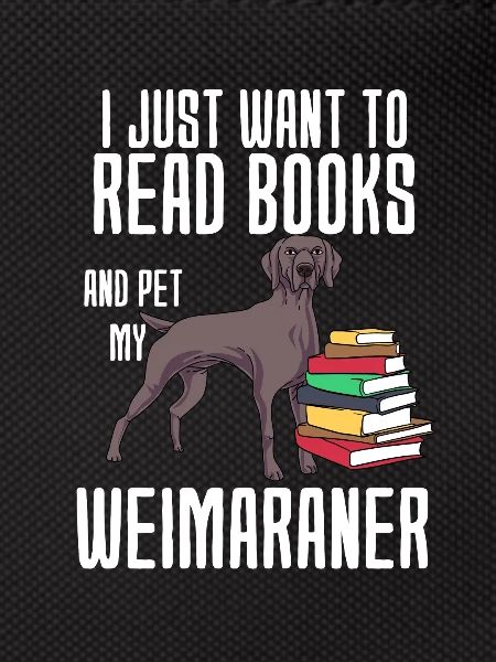 Weimaraner