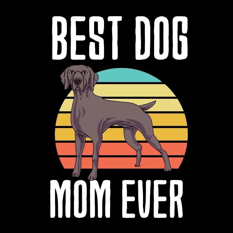Weimaraner