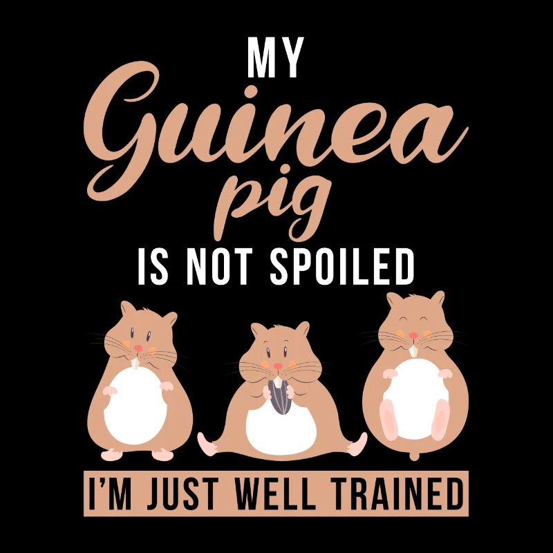 Cute Guinea Pig Gift
