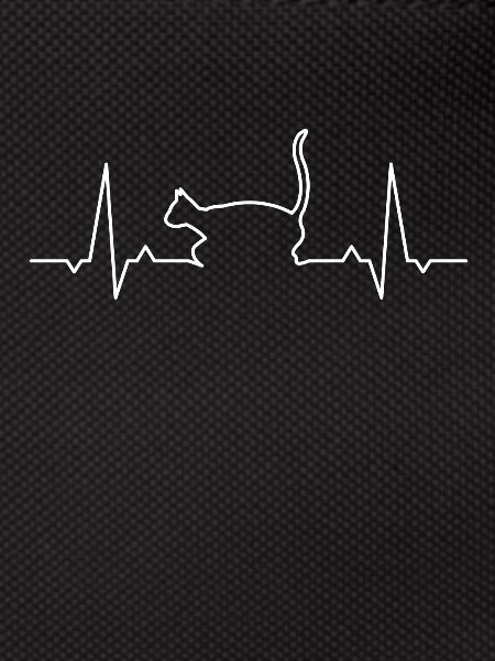 Cat heartbeat