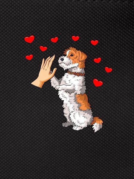 Drahthaar Foxterrier Hund