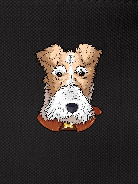 Drahthaar Foxterrier Hund