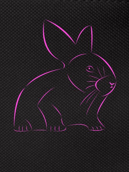 Rabbit drawn