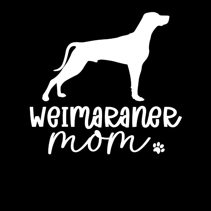 Weimaraner