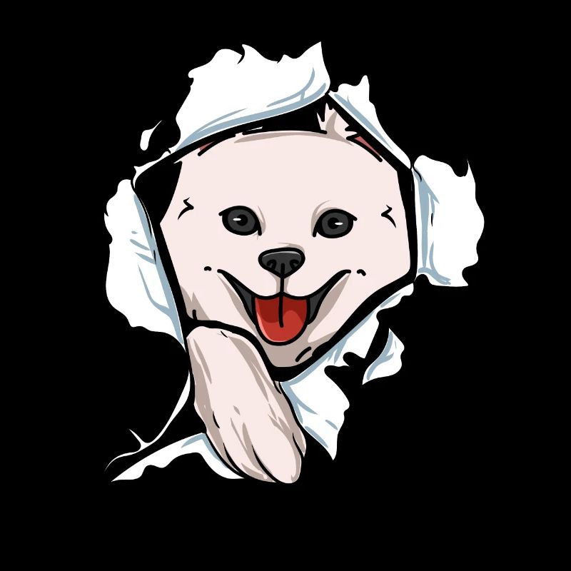 American Eskimo