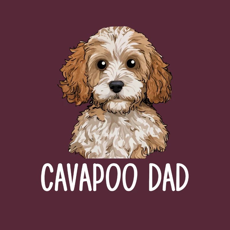 Cavapoo Dad, Cavapoo