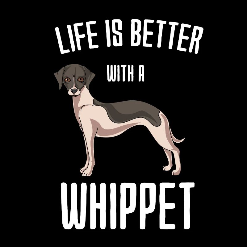 Whippet