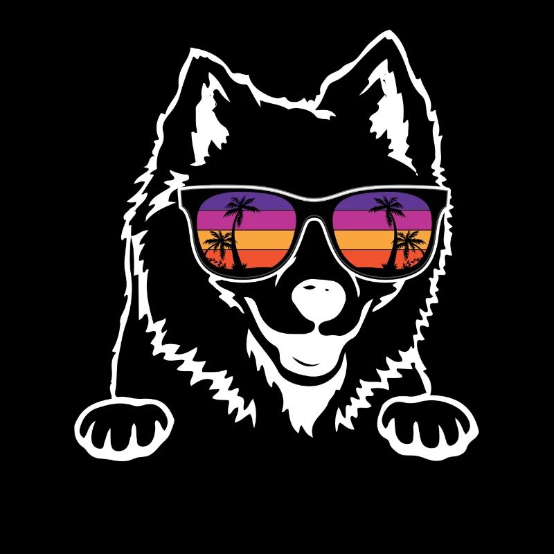 American Eskimo Dog