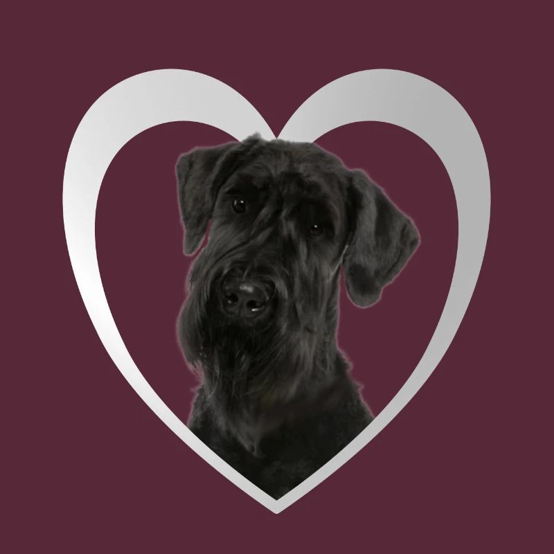 Cœur de Schnauzer géant - J’aime le Schnauzer géant